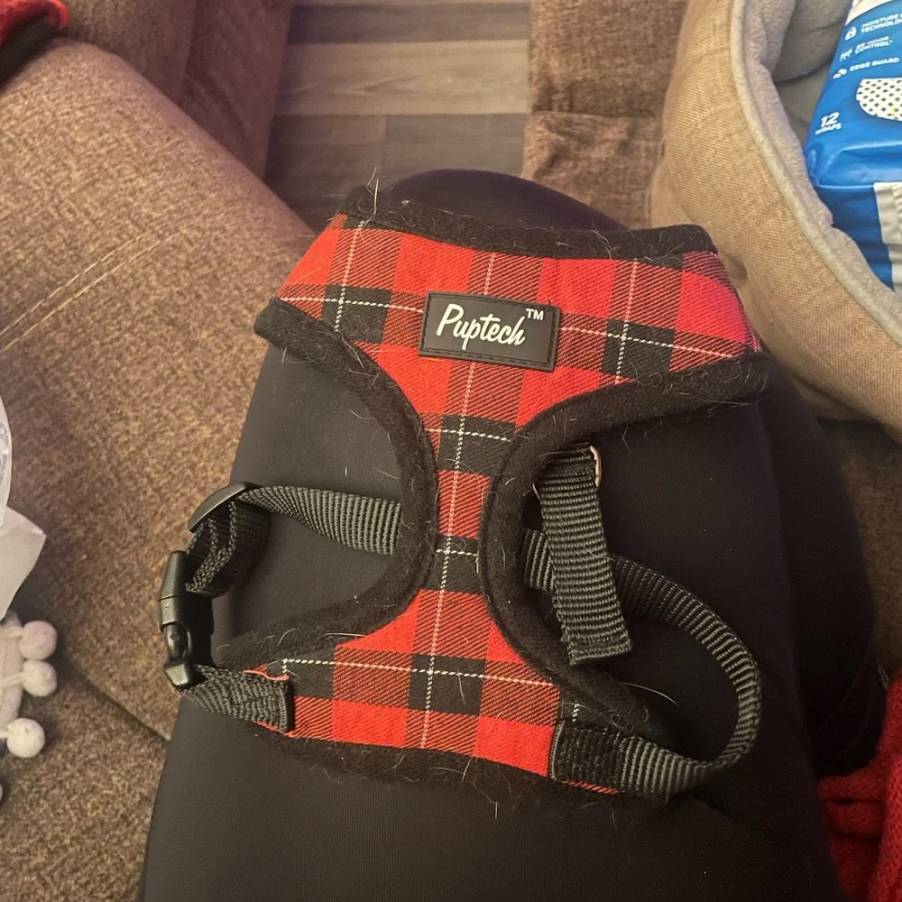 Small puppy bundle pack